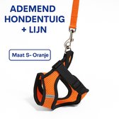 Waledano®Pets Verstelbaar Hondentuigje met Riem – Reflecterend – Maat S – Voor Kleine Honden & Katten