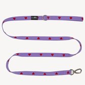 Coeurs - Hartjes - Laisse pour chien - S- 2 m / 2 mètres / 200 cm - Laisse pour chien