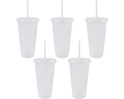 TSLBW 5Pcs Reusable Plastic Cup Drinkware Tumblers Acrylic Cups with Lids and Straws Bulk Iced Cold Water Coffee Travel Mug Party Tumbler, 710ml Transparent, (bg143)