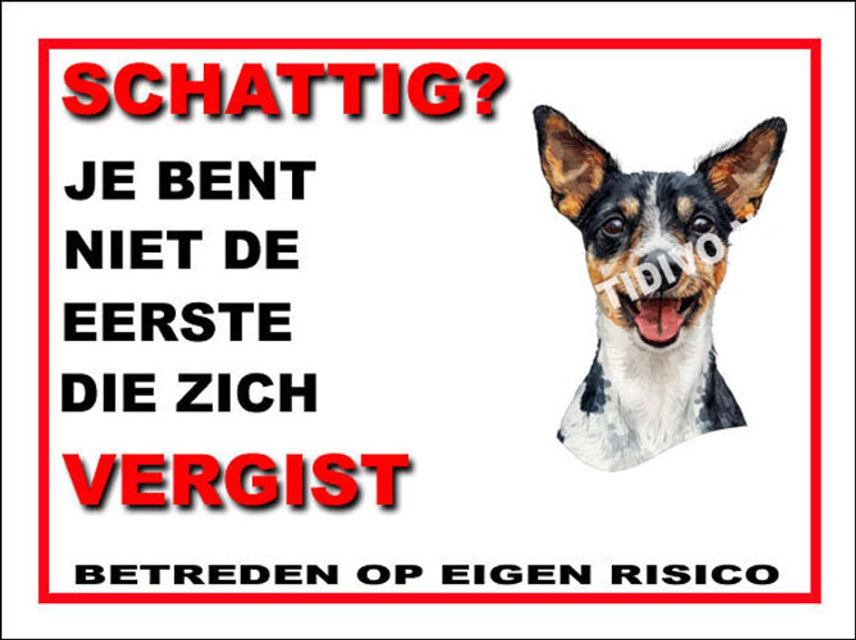 Fox Terrier Miniatuur 14