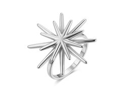 Twice As Nice Ring in edelstaal, ster ontwerp Zilverkleurig 56