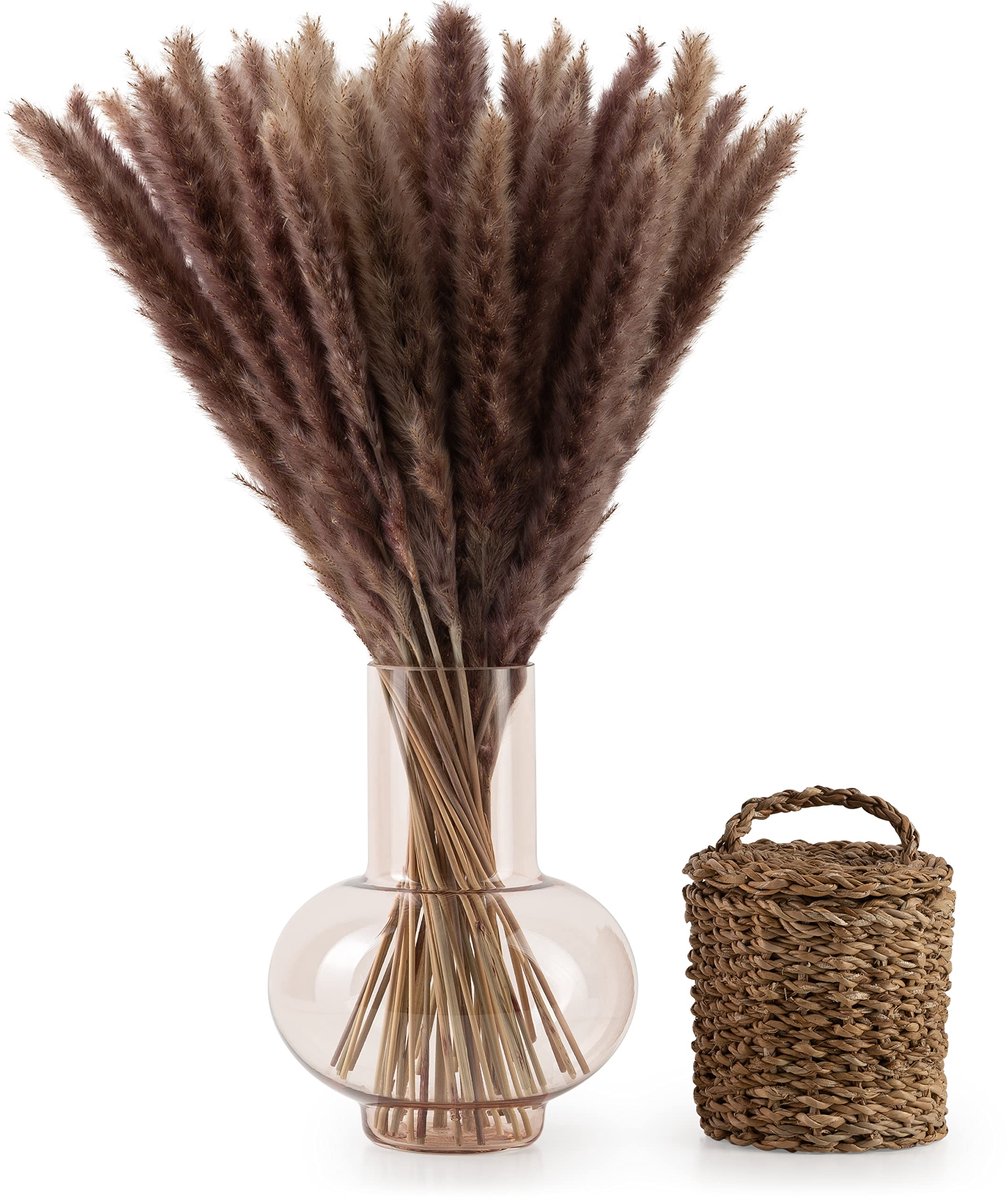 Ibenzoa® 30 Stuks Natuurlijke Gedroogde Pampasgras Planten voor Boho Decoratie in Bruin