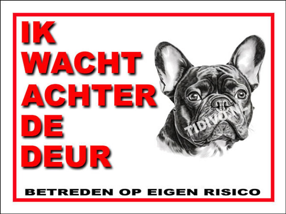 Franse Bulldog 10