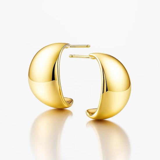ALEXCRAFT Oorbellen Zilver 925 Dikke Hoop Oorbellen voor Vrouwen Chunky Hoops Zilver Cadeau voor Vrouwen Vriendin Moeder Meisje