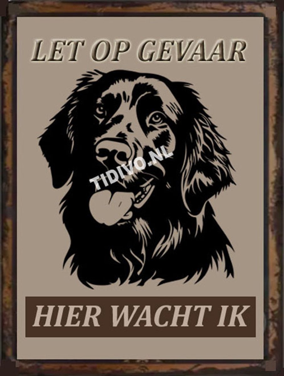 Flatcoated Retriever 18