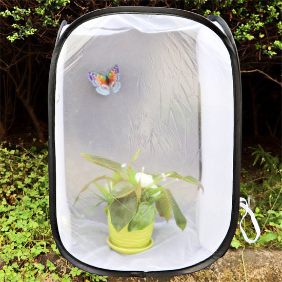 Ynkkvre-Vlinderkweekkooi - Opvouwbare Vlinder Habitat met Gaaspanelen & Ritssluiting - Insectenkooi voor Rupsen en Vlinders (30x30x30 cm) van Merkloos	 — afbeelding 4