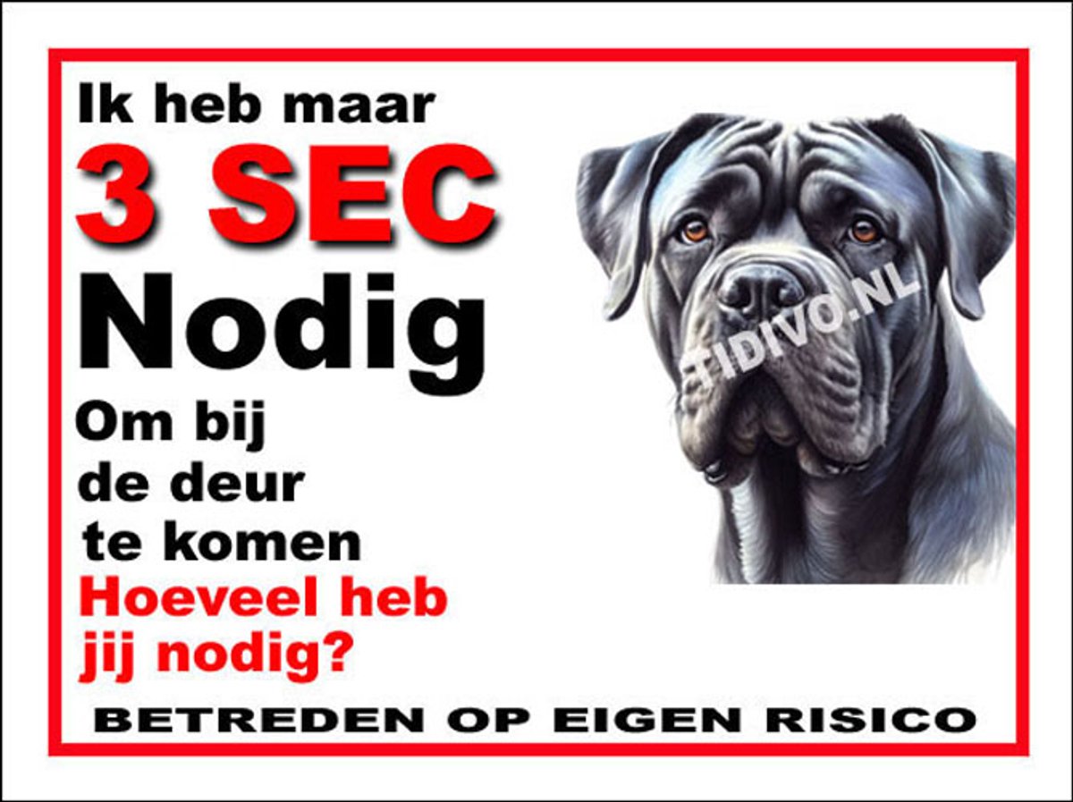 Cane Corso 6