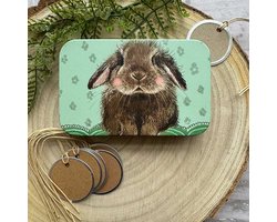 Alex Clark Rectangle Tin Bramble ~ Langwerpig opbergblikje konijn