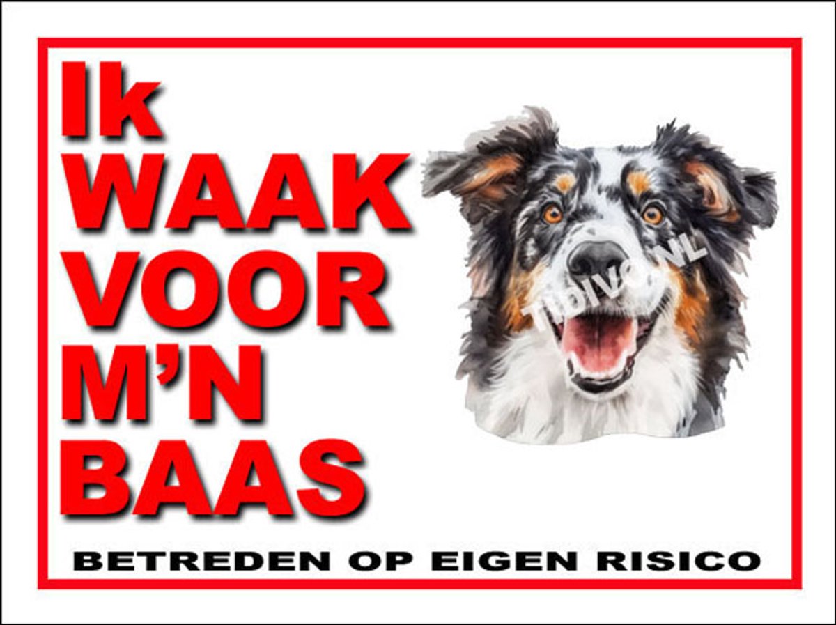 Engelse Shepherd 9