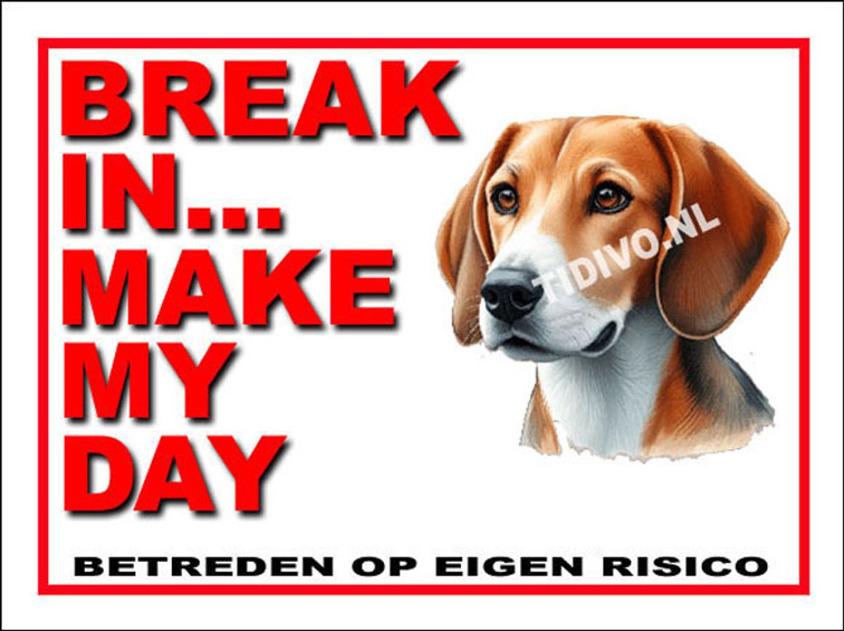 Engelse Foxhound 1