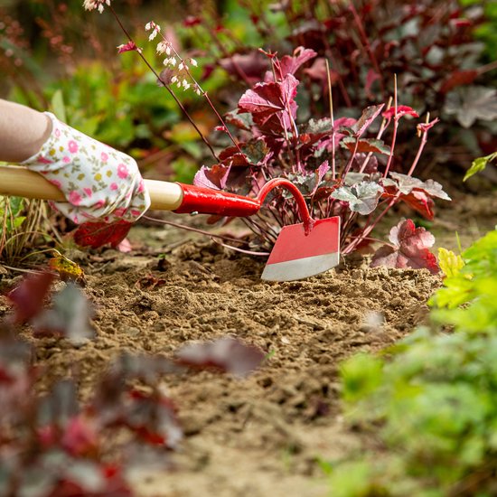KADAX Hak met metalen kop, tuinhak met steel van hout, trekhaak voor het verwijderen van onkruid, onkruid, tuinaccessoires voor het wieden (trapeziumvorm, kort, rood) van Merkloos	 — afbeelding 4