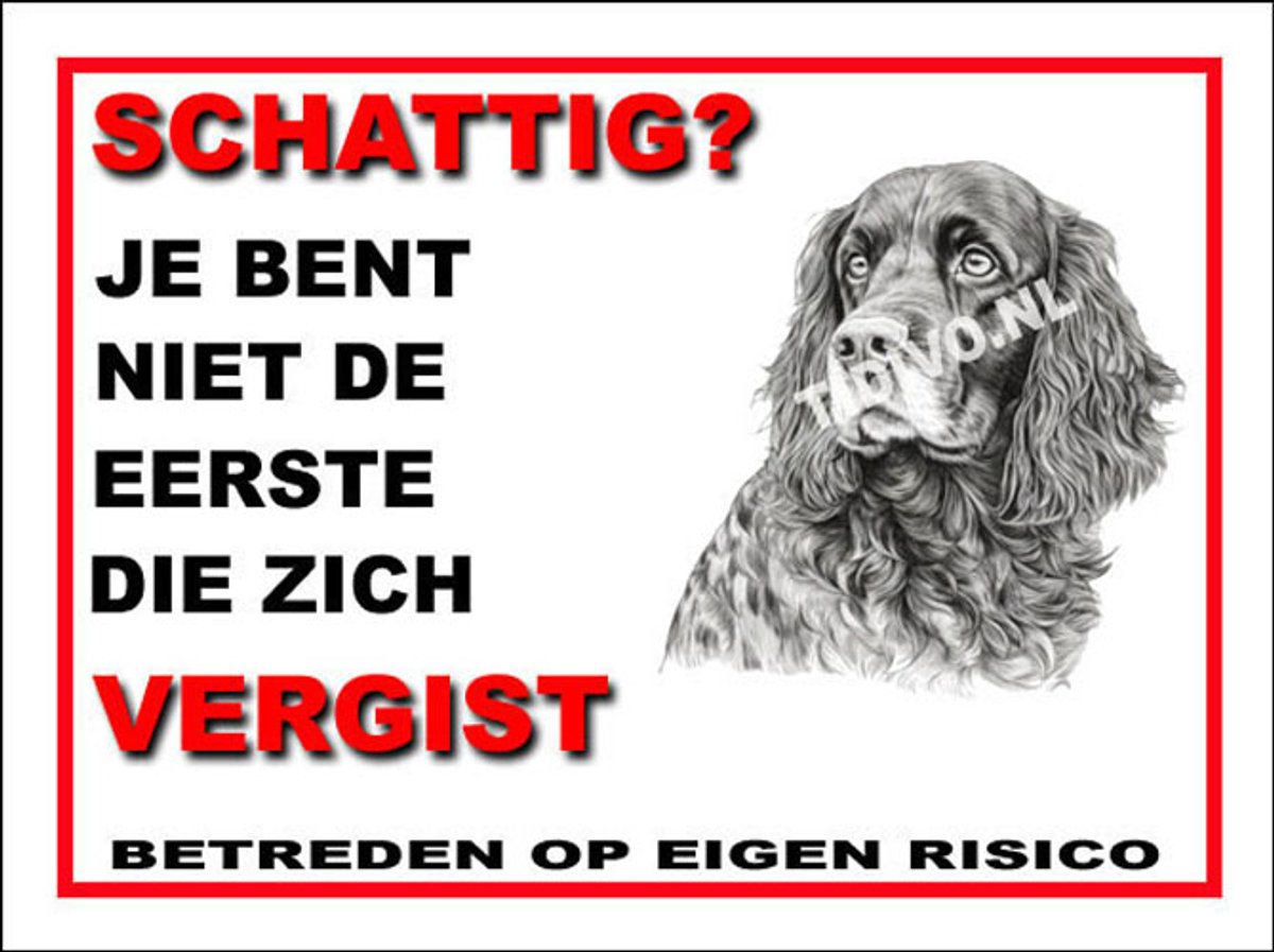 Field Spaniel 14