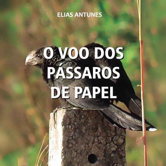 O voo dos pássaros de papel - cover