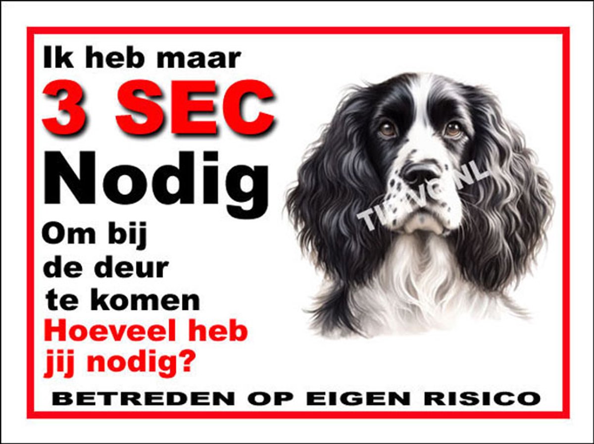 Engelse Springer Spaniel 6
