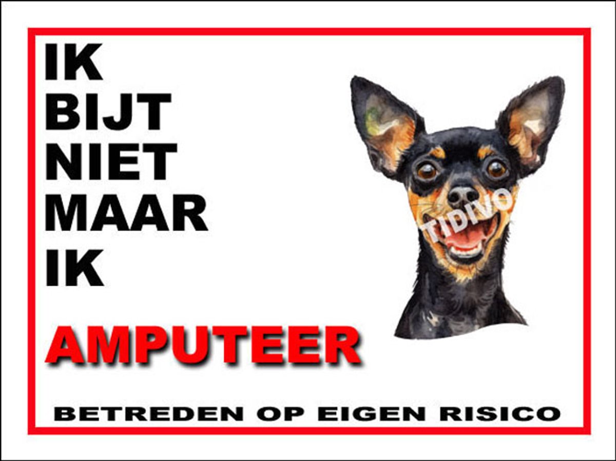 Engelse Toy Terrier 5