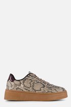 Baskets pour femmes Cellini Snake beige synthétique - Taille 42
