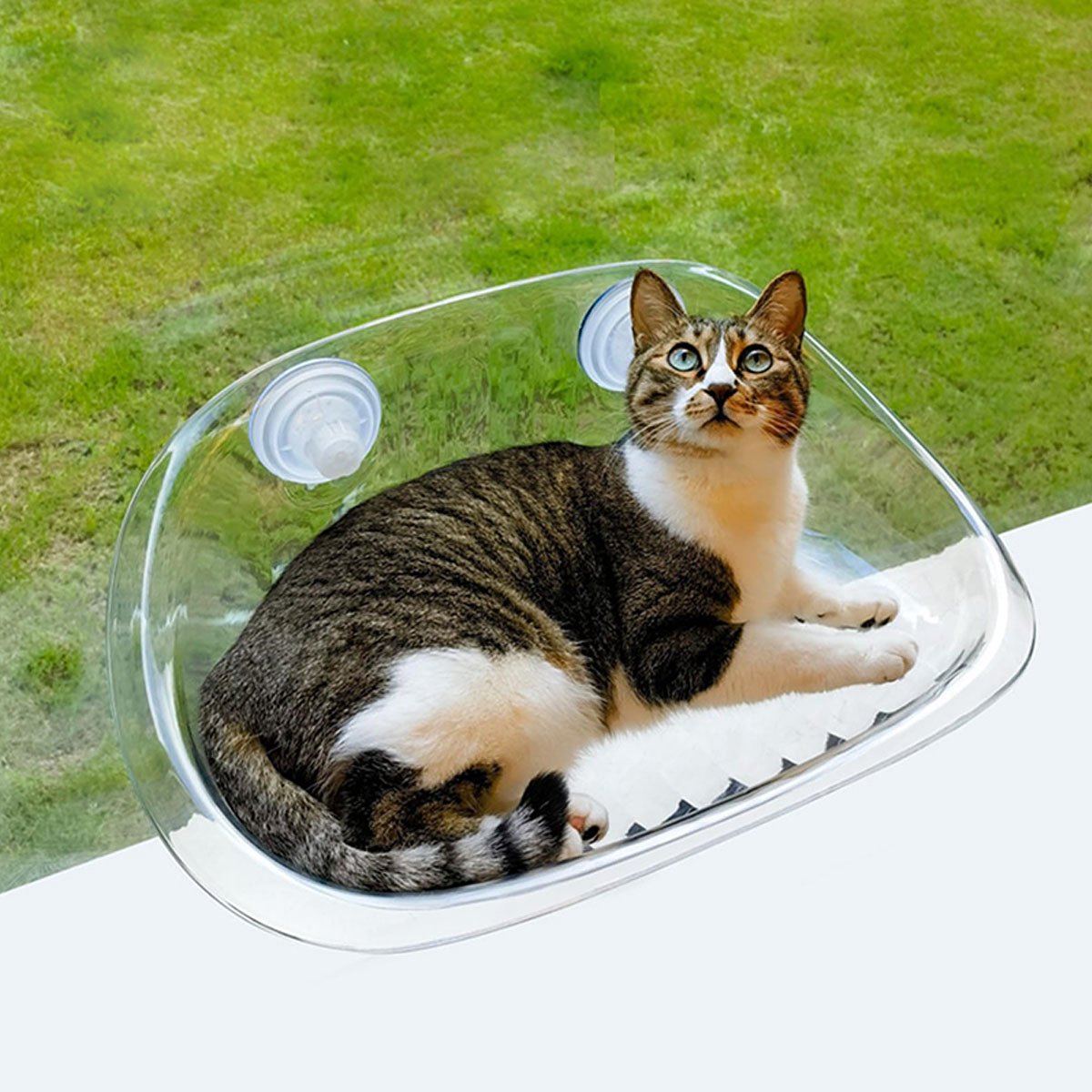 Katten Hangmat – Transparant Vensterbank Kattenbed met Sterke Zuignappen – Veilig & Comfortabel, Draagvermogen tot 12 kg – Hangende Katten Ligplek voor Binnenkatten – ANMI