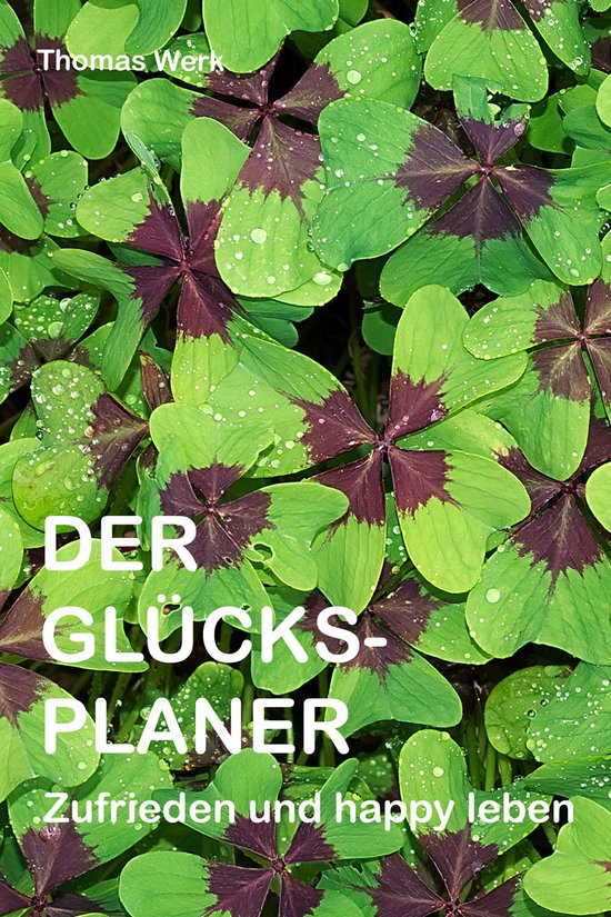 Der Glücksplaner - cover