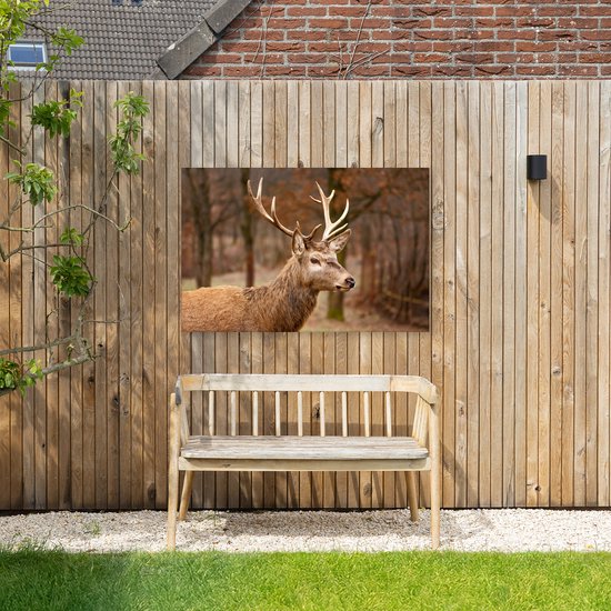 Tuinposter op canvas van een hertenkop in een herfstbos, buiten opgehangen aan een houten schutting boven een houten bankje.