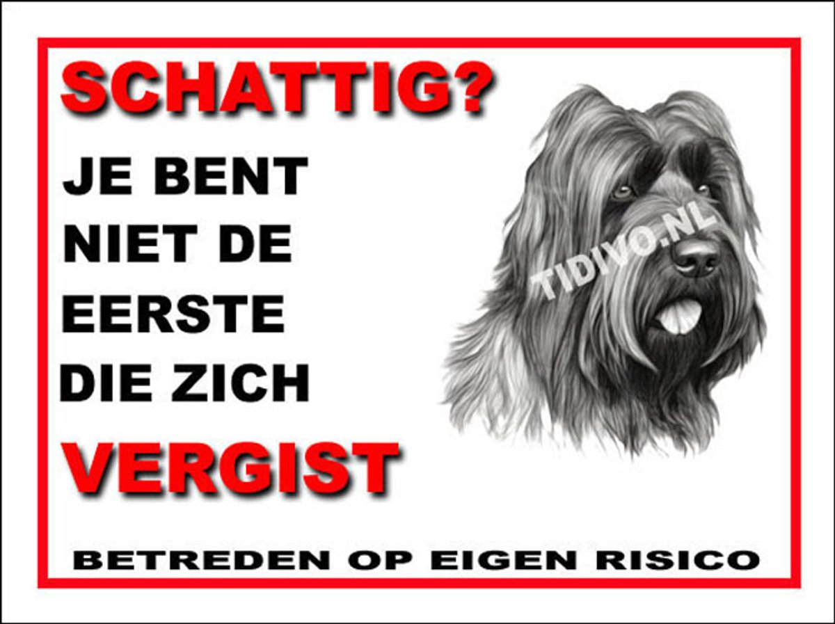 Briard 14