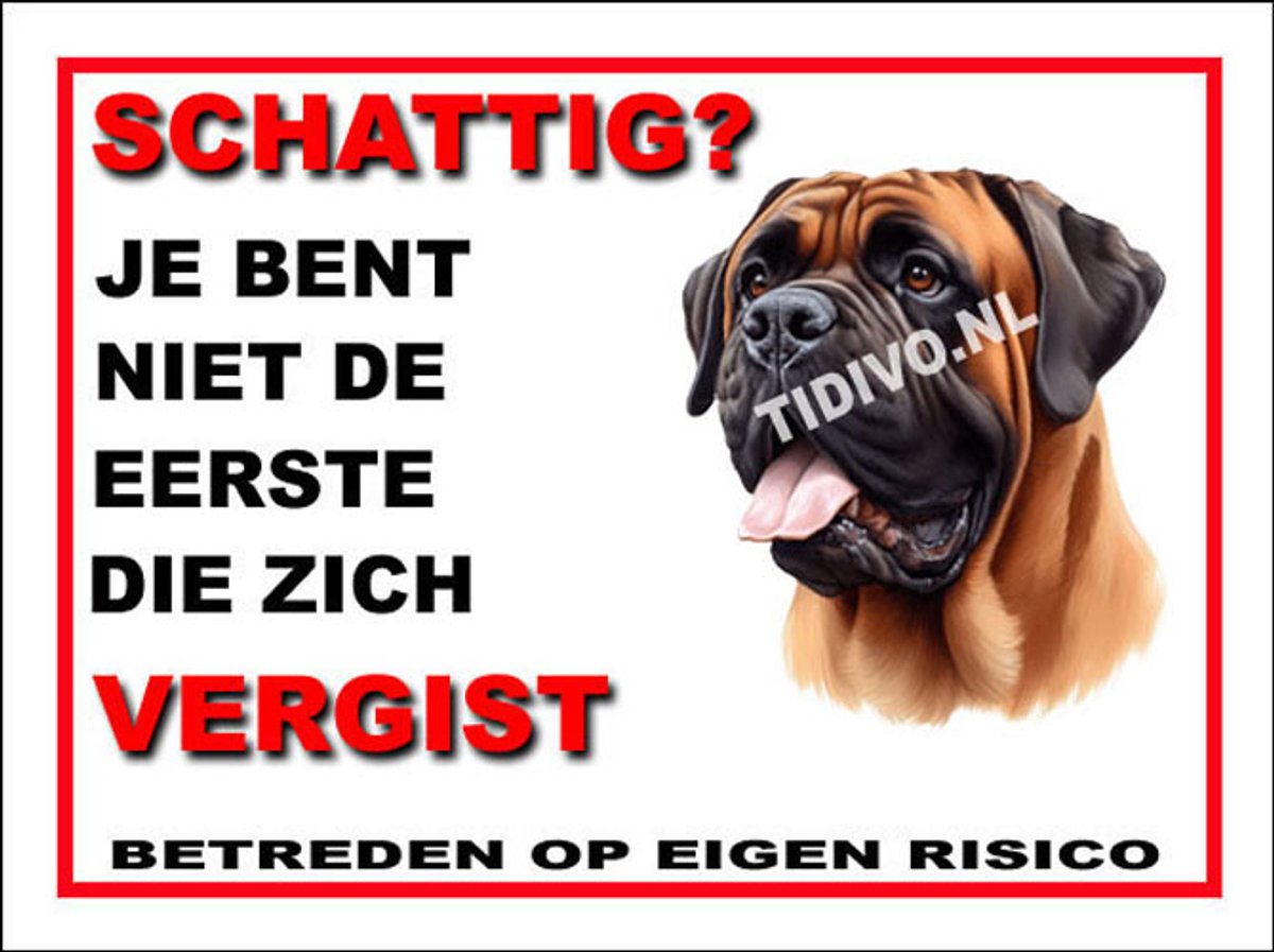 Bullmastiff 14