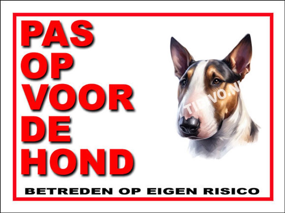 Bull Terrier 13