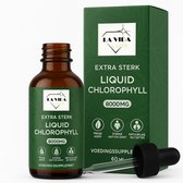 Chlorofyl Druppels - Extra sterk - 8000MG - Met E-BOOK - Chlorophyll Liquid - Vloeibaar - Supplement - Gua Sha - Chlorofyll Drops - Chlorella - Chlorofil Water - Chlorophyll drops - Superfood - chlorella