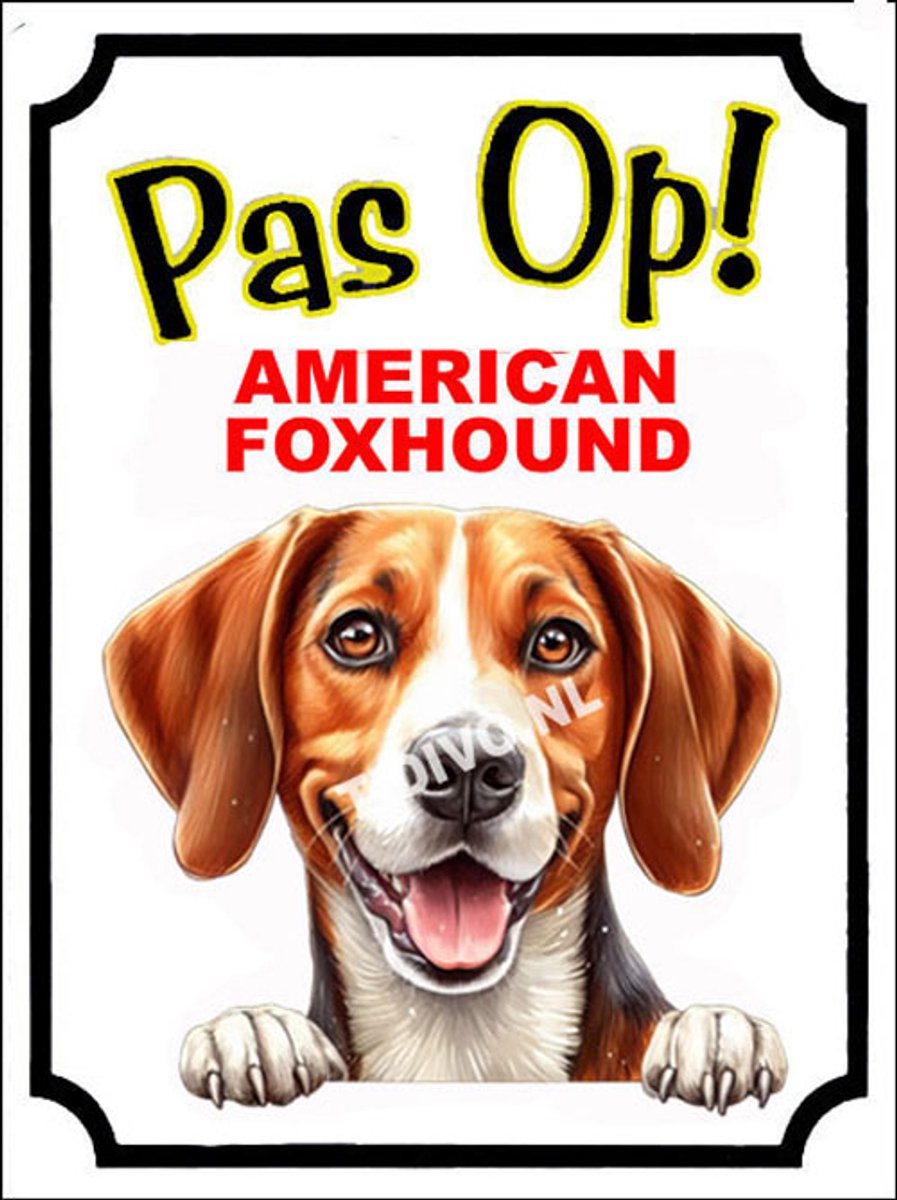 American Foxhound 16