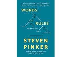 Omslag van Words and Rules