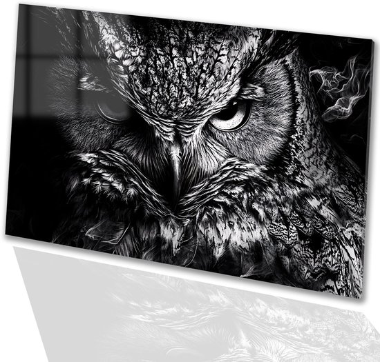Mystiek zwart-wit uilenportret - Uil glazen schilderij - Wandkunst dieren - Hyperrealisme - Schilderij op plexiglas - Klassieke schilderijen - Glasschilderij 75x50 cm