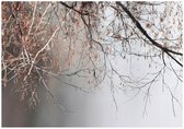 WALLARENA - Fotobehang - 250x175 cm - Betonnen takken grijs natuur voor slaapkamer en woonkamer