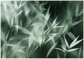 WALLARENA - Fotobehang - 350x250 cm - abstract bladeren ontwerp voor slaapkamer en woonkamer, vliesbehang