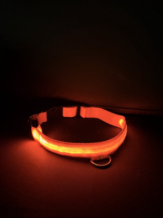 Foto: Hondenriem glow in the dark met vervangbare batterij zichtbaarheid veiligheid oranje orange maat m