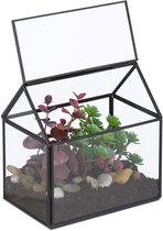 Planten terrarium - 15x15x10 cm - glas - vensterbank - zwart