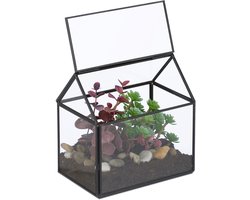 planten terrarium - 15x15x10 cm - glas - vensterbank - zwart