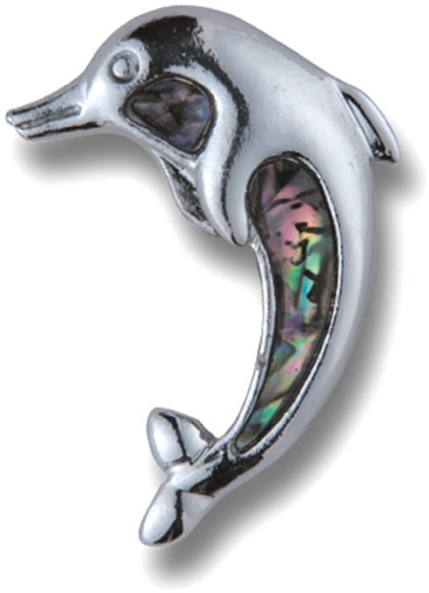 Broche dolfijn met paua schelp