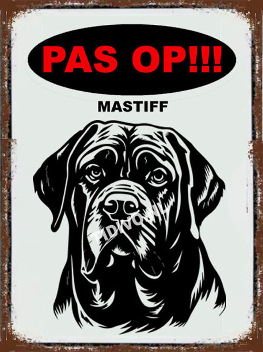 Mastiff 17