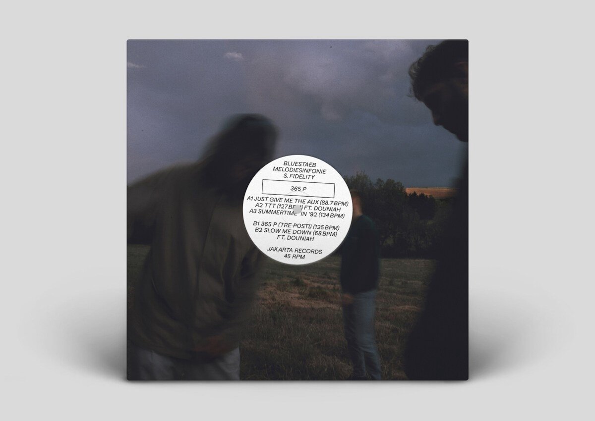 Bluestaeb & Melodiesinfonie & S. Fi - 365 P (LP)