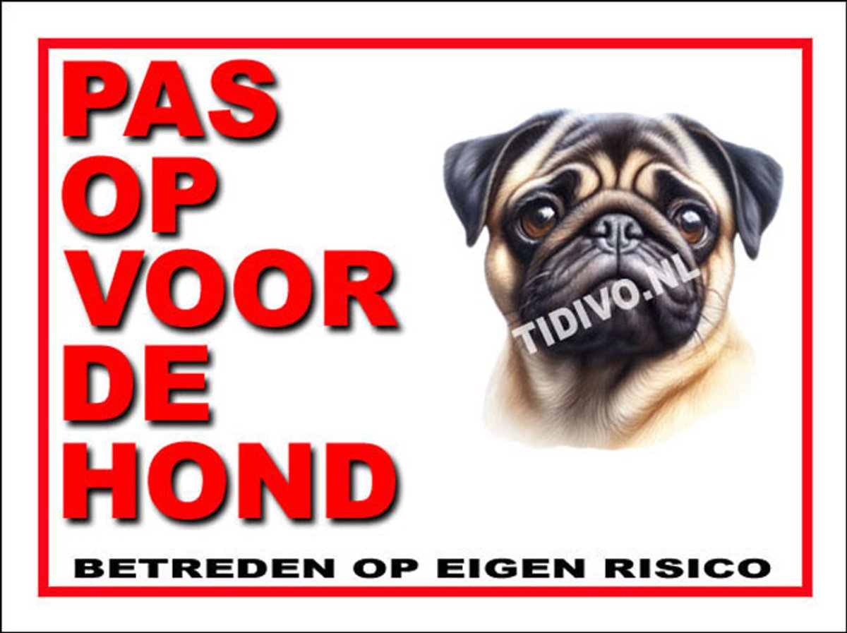 Mopshond 13