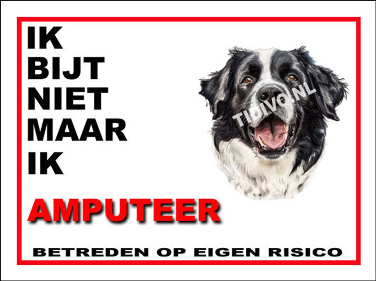 Landseer ECT 5