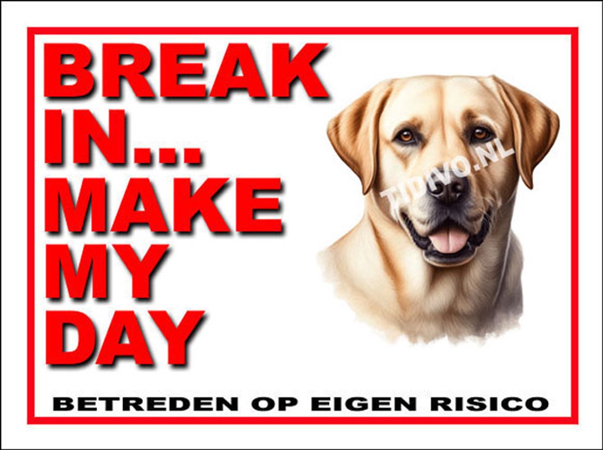 Labrador Retriever 1