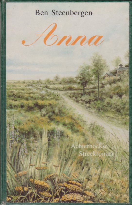 Anna achterhoekse streekroman - cover