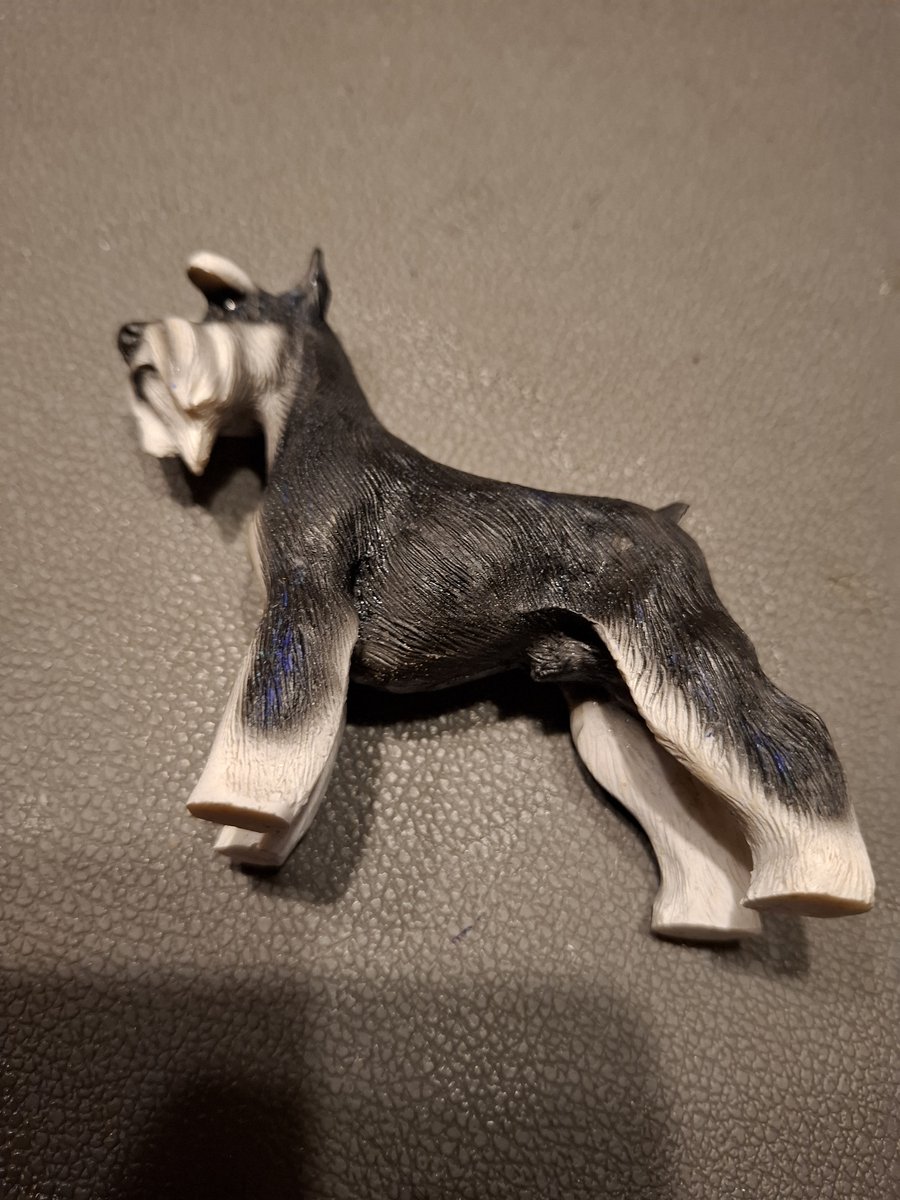 beeld schnauzer