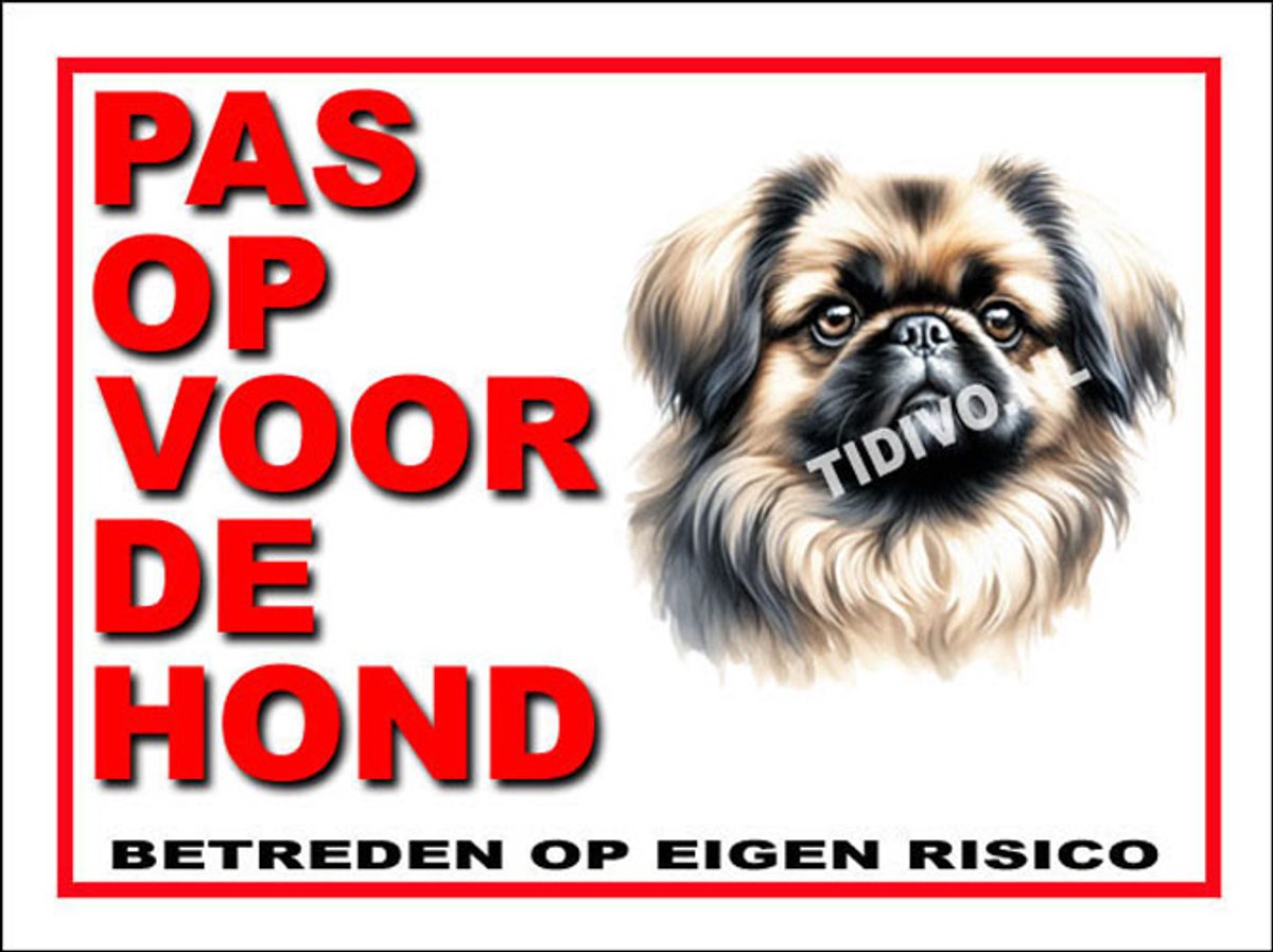 Pekingees 13