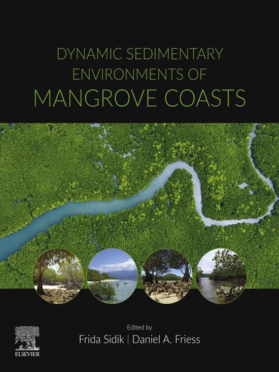Dynamic Sedimentary Environments of Mangrove Coasts - cover