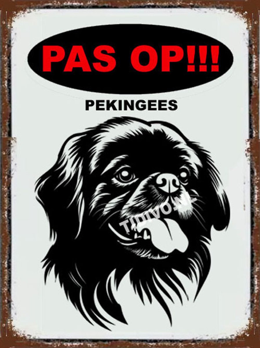 Pekingees 17