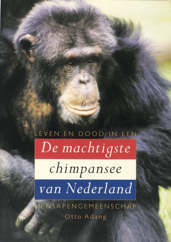 MACHTIGSTE CHIMPANSEE VAN NEDERLAND