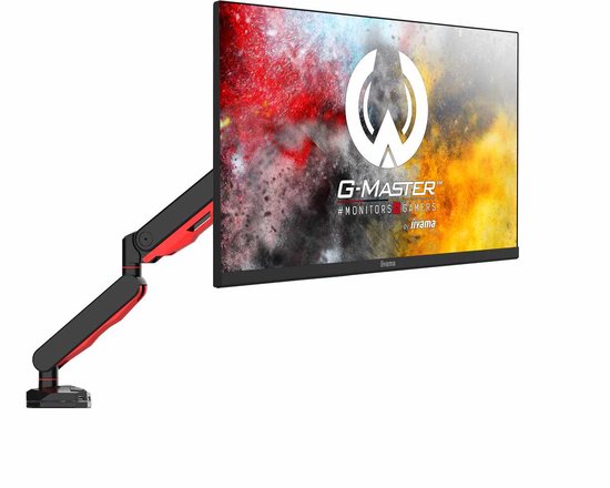 iiyama DSG3001C-R1
