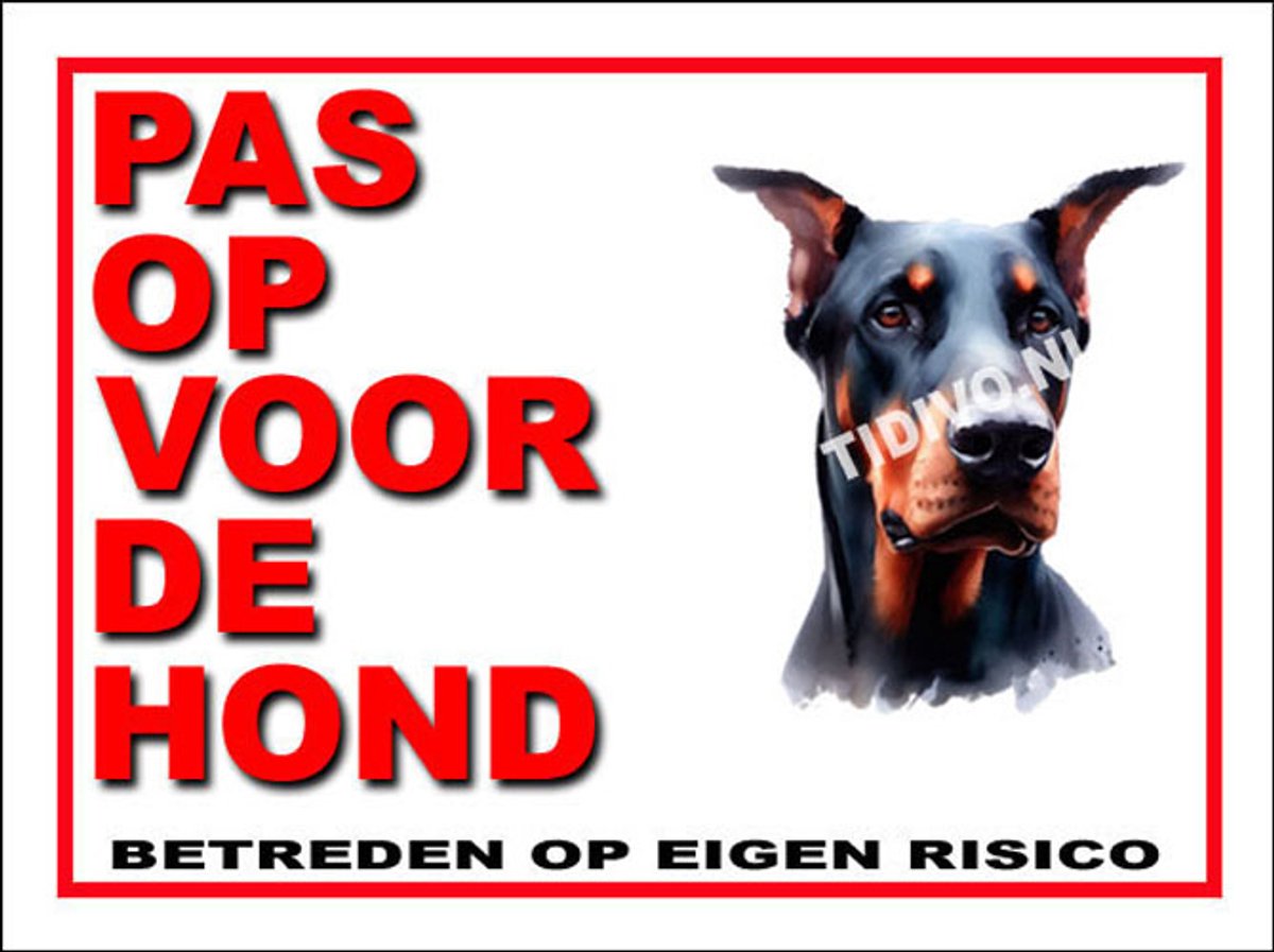 Duitse Dog 13