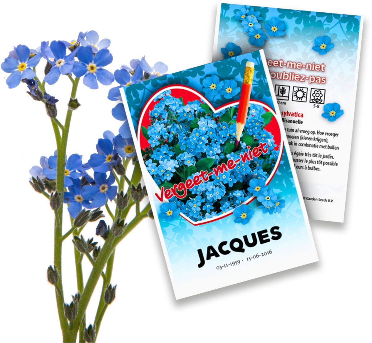Vergeet-mij-nietje (Myosotis) - Vergeet-mij-Niet zakjes persoonlijk bedrukt - 1.000 stuks - Bijen-Vlinders - Snijbloemen - (Ook)-Voor in huis